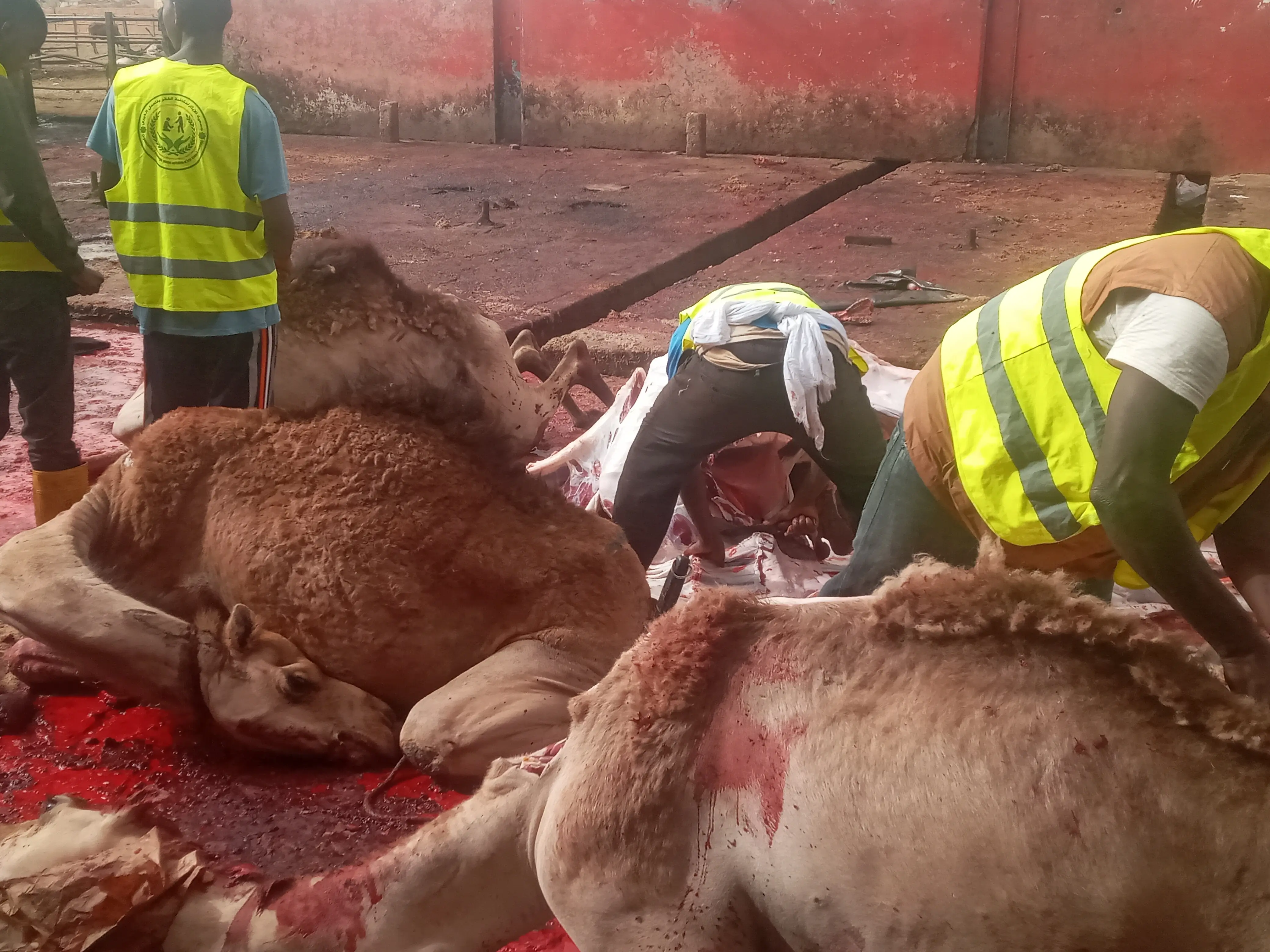 عائلة سعيدة تحضر وجبة العيد